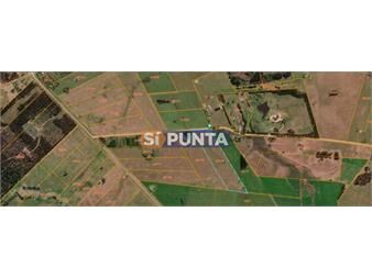 https://www.gallito.com.uy/atencion-lote-en-venta-en-camino-vecinal-y-104-inmuebles-27607985