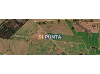 https://www.gallito.com.uy/atencion-terreno-en-venta-sobre-ruta-104-inmuebles-27607995