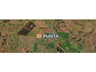https://www.gallito.com.uy/oportunidad-venta-de-terreno-ruta-104-inmuebles-27607996