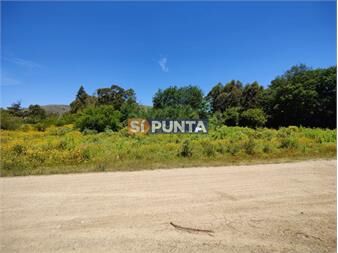 https://www.gallito.com.uy/terreno-de-737-m2-a-la-venta-en-piriapolis-inmuebles-27608014