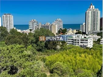 https://www.gallito.com.uy/un-nuevo-concepto-de-edificio-view-ii-a-pasos-inmuebles-27608044