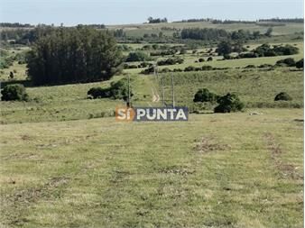 https://www.gallito.com.uy/hermosa-chacra-a-15-kilometros-del-mar-pan-de-inmuebles-27608048