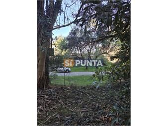 https://www.gallito.com.uy/venta-terreno-en-pinares-inmuebles-27608065