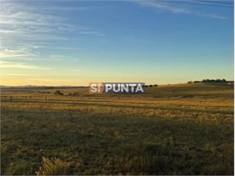 https://www.gallito.com.uy/chacra-en-venta-de-6-hectareas-en-mantantiales-inmuebles-27608083