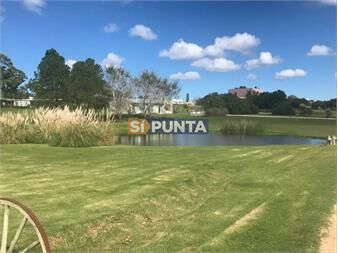 https://www.gallito.com.uy/chacra-en-venta-el-quijote-la-barra-inmuebles-27608155