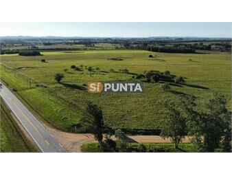 https://www.gallito.com.uy/venta-de-chacra-sobre-ruta-104-inmuebles-27608209