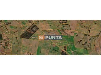 https://www.gallito.com.uy/atencion-lote-en-venta-sobre-ruta-104-inmuebles-27608306