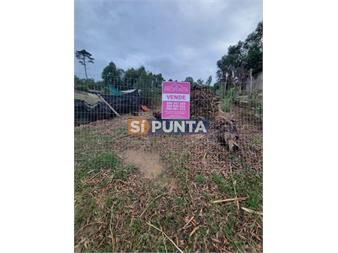 https://www.gallito.com.uy/terreno-300m2-inmuebles-27608391