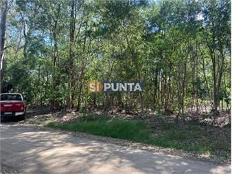 https://www.gallito.com.uy/venta-terreno-sauce-de-portezuelo-inmuebles-27608421