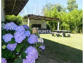 https://www.gallito.com.uy/casa-en-alquiler-el-tesoro-inmuebles-27608565