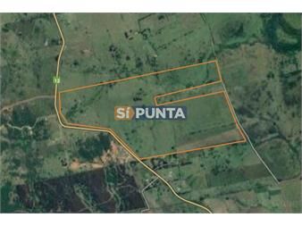 https://www.gallito.com.uy/campo-en-venta-ruta-12-inmuebles-27608695