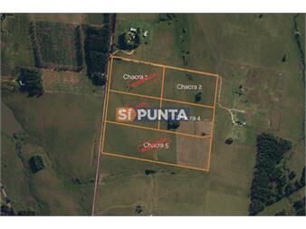 https://www.gallito.com.uy/chacra-en-venta-camino-eguzquiza-inmuebles-27609082