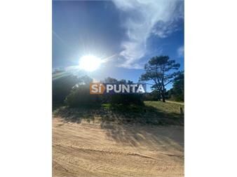 https://www.gallito.com.uy/lote-en-barrio-privado-laguna-escondida-jose-inmuebles-27609145