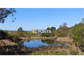 https://www.gallito.com.uy/venta-hermosa-chacra-con-tajamar-y-vista-al-mar-inmuebles-27609162