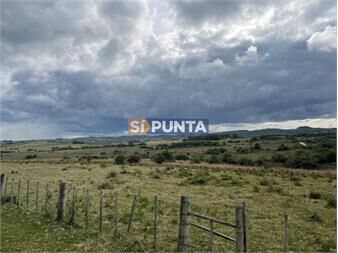 https://www.gallito.com.uy/campo-en-venta-garzon-inmuebles-27609189