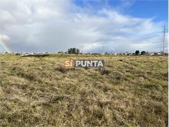 https://www.gallito.com.uy/venta-de-terreno-en-fraccionamiento-colinas-de-inmuebles-27609205