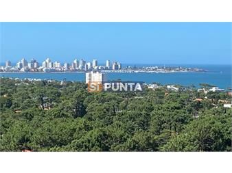 https://www.gallito.com.uy/alquiler-anual-apartamenos-1-dormitorio-inmuebles-27609248