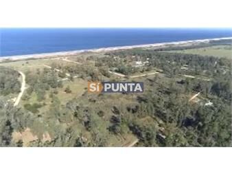 https://www.gallito.com.uy/chacra-en-venta-club-de-polo-inmuebles-27609349
