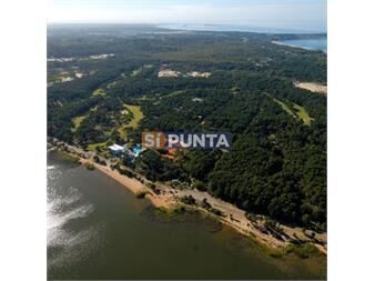 https://www.gallito.com.uy/terreno-en-club-del-lago-punta-ballena-inmuebles-27609381