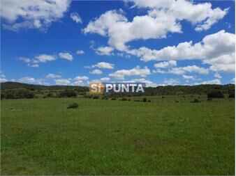 https://www.gallito.com.uy/linda-chacra-de-5-has-en-las-cañas-inmuebles-27609391