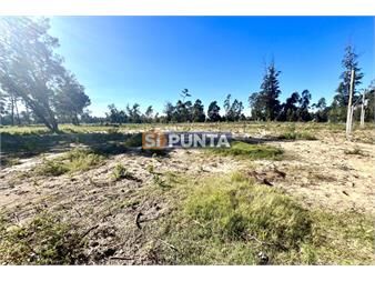 https://www.gallito.com.uy/terreno-en-parque-burnet-inmuebles-27609444