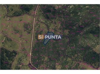 https://www.gallito.com.uy/chacra-en-venta-5-hectareas-inmuebles-27609510