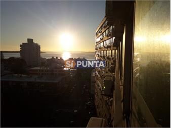 https://www.gallito.com.uy/edificio-a-metros-de-playa-brava-inmuebles-27609538