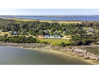 https://www.gallito.com.uy/lote-en-venta-santa-monica-jose-ignacio-de-inmuebles-27609645