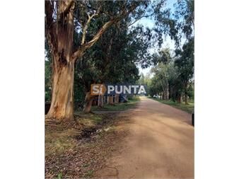https://www.gallito.com.uy/buen-lote-en-venta-en-la-barra-el-tesoro-inmuebles-27609701