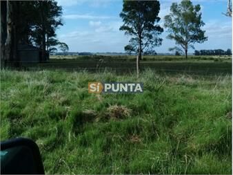 https://www.gallito.com.uy/oportunidad-en-polo-club-country-de-ruta-10-172-inmuebles-27609888