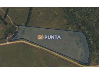 https://www.gallito.com.uy/venta-chacra-5-6-ha-pan-de-azucar-maldonado-inmuebles-27609897