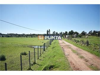https://www.gallito.com.uy/chacra-san-carlos-ruta-9-inmuebles-27609964