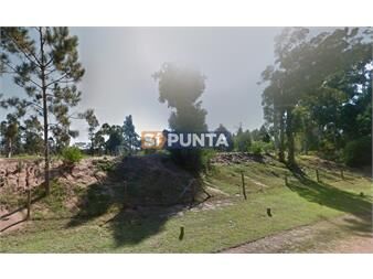 https://www.gallito.com.uy/terreno-apto-para-ph-2725-m2-con-posibilidad-de-inmuebles-27610050