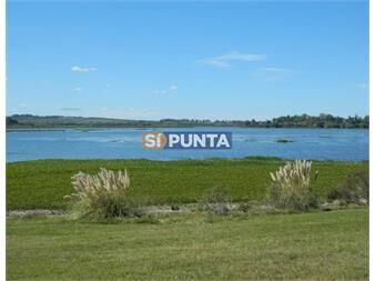 https://www.gallito.com.uy/lote-en-venta-laguna-de-los-cisnes-inmuebles-27610250