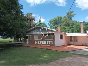 https://www.gallito.com.uy/campo-de-73-hectareas-en-aguas-corrientes-inmuebles-27615655