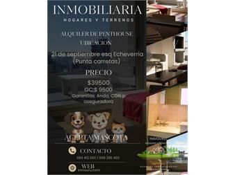 https://www.gallito.com.uy/alquiler-de-penthouse-en-punta-carretas-inmuebles-27616026