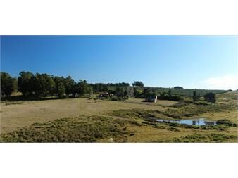 https://www.gallito.com.uy/campo-en-venta-proximo-a-garzon-y-jose-ignacio-inmuebles-27503708