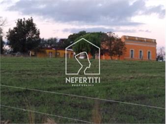 https://www.gallito.com.uy/venta-chacra-en-tala-canelones-inmuebles-27616520