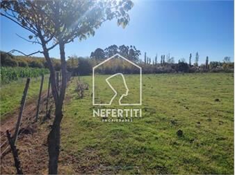 https://www.gallito.com.uy/venta-chacra-4-5-ha-en-paraje-las-violetas-inmuebles-27616523