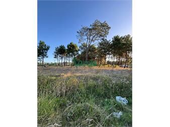 https://www.gallito.com.uy/terrenos-en-venta-financiados-ultimos-en-montes-inmuebles-27484873