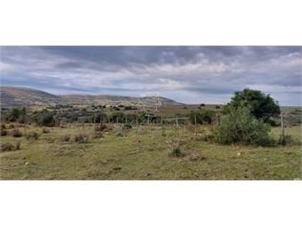 https://www.gallito.com.uy/campo-en-carape-son-42-hs-2293-m2-muy-lindo-campo-inmuebles-23920435
