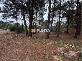 https://www.gallito.com.uy/terreno-en-venta-laguna-escondida-jose-ignacio-inmuebles-27620030