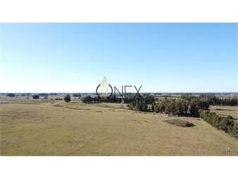 https://www.gallito.com.uy/venta-de-campo-con-casa-en-maldonado-abra-inmuebles-27549146