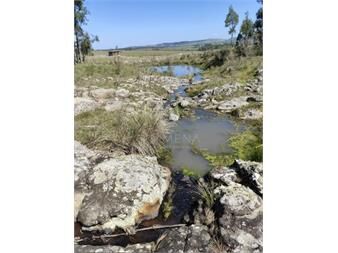 https://www.gallito.com.uy/campo-5-has-en-partido-norte-a-38-km-de-punta-del-inmuebles-26830730