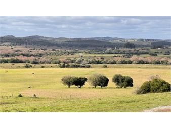 https://www.gallito.com.uy/campo-57-has-agricola-ganadero-cerca-de-minas-inmuebles-25703623