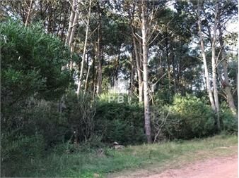 https://www.gallito.com.uy/terreno-en-venta-club-del-lago-ref-pbi807-inmuebles-27625055