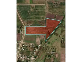 https://www.gallito.com.uy/venta-chacra-9-37ha-castellanos-inmuebles-27317408