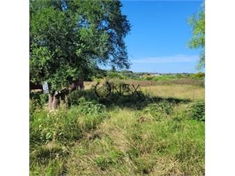 https://www.gallito.com.uy/terreno-zona-escuela-15-inmuebles-27625208