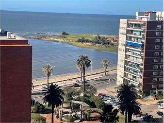 https://www.gallito.com.uy/dueño-alquiler-mono-pocitos-prox-rambla-pza-gomensoro-inmuebles-27518521