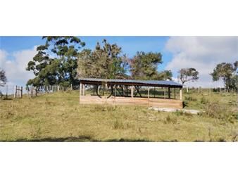 https://www.gallito.com.uy/venta-de-chacra-5ha-inmuebles-27544140